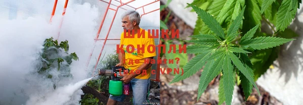 индика Алексеевка