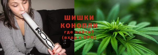 индика Алексеевка